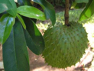 la-mang-cau-co-tac-dung-tri-sung-tay