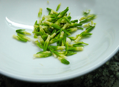 tam-sen-lam-thuoc-va-nhung-dieu-can-biet